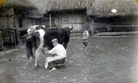 powiększ zdjęcie