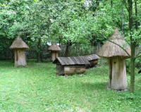 powiększ zdjęcie 