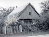 powiększ zdjęcie