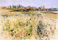 Stanisław Masłowski, "Maki", rok 1911