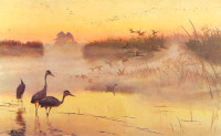 Józef Chełmoński, "Królewstwo ptaków",