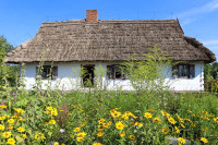 powiększ zdjęcie